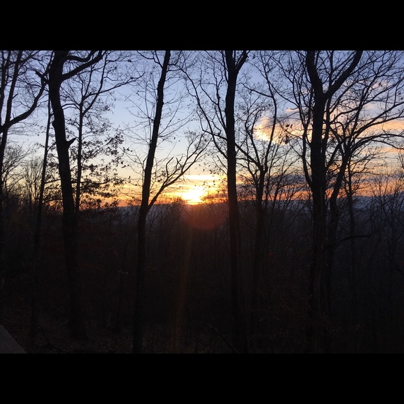 Meet your Posher, Skyler - Picture 1 of 1